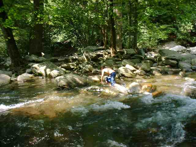 DSCF0140.JPG