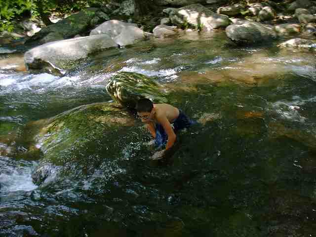DSCF0142.JPG