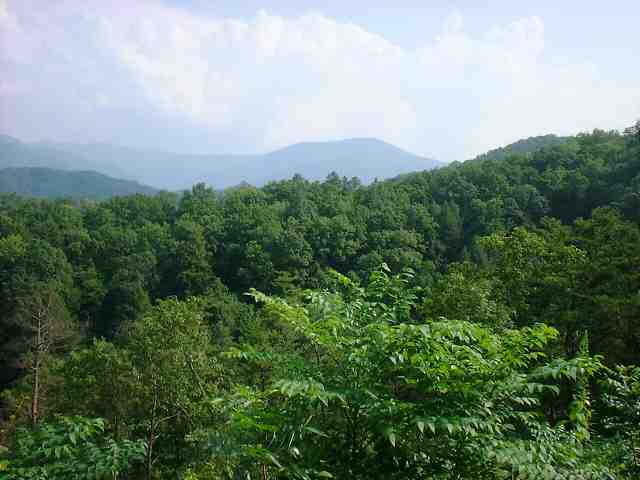 DSCF0145.JPG