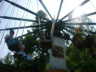 thm_DSCF0119.jpg